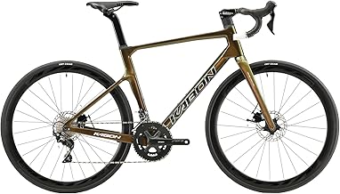 58cm carbon road bike frame Clearance