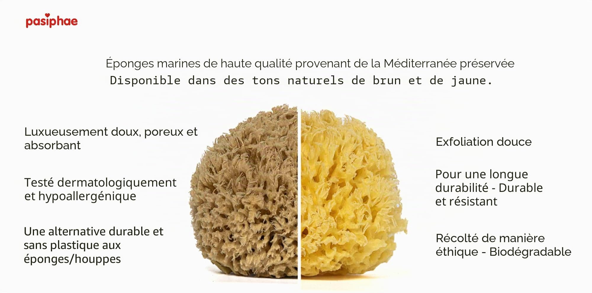 Pasiphae Éponge de bain naturelle de Grèce – Éponge en nid d'Inde – Éponge de douche exfoliante bio douce et respectueuse de l'environnement pour homme et femme (taille M, 1 pièce)