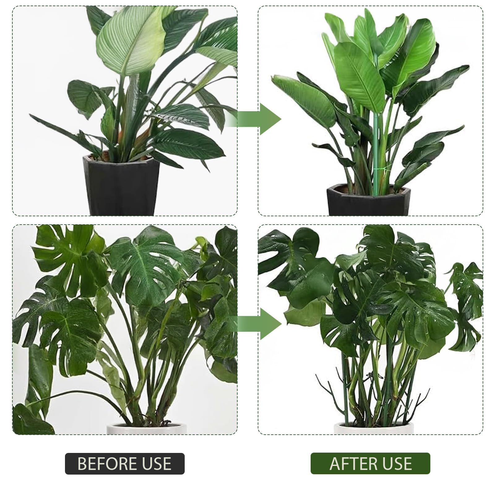 Clips de plantes pour soutien, piquets d'entraînement empilables pour Monstera et autres plantes, stabilisation durable de la tige pour une utilisation dans le jardin