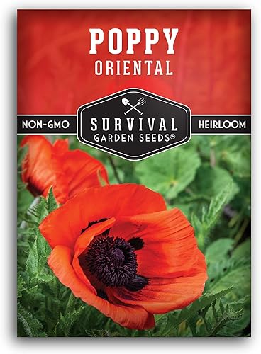 Miniatura 1 de Paquete de 3 semillas de amapola oriental para plantar, paquete con instrucciones para cultivar Papaver Orientale en tu hogar de flores o huertos,