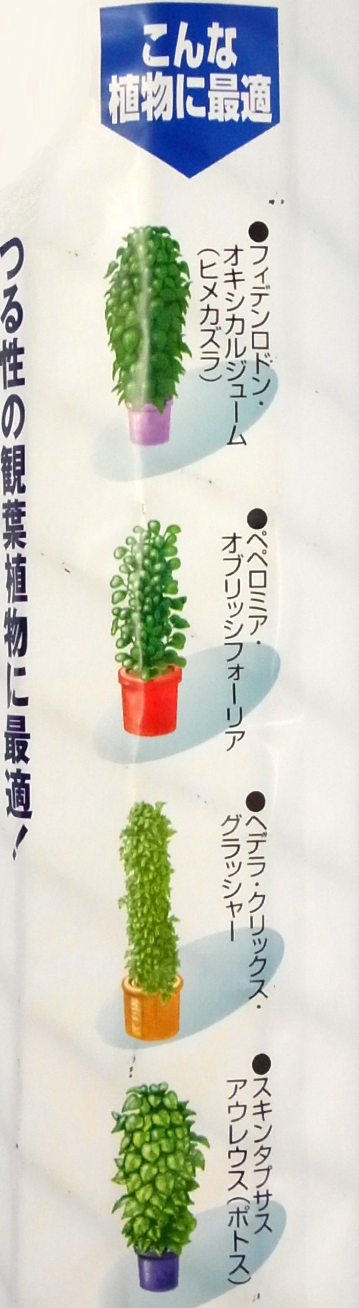 Amazon.co.jp: クラーク プラヘゴ φ5.5×90cm 観葉植物用 支柱 グリーン