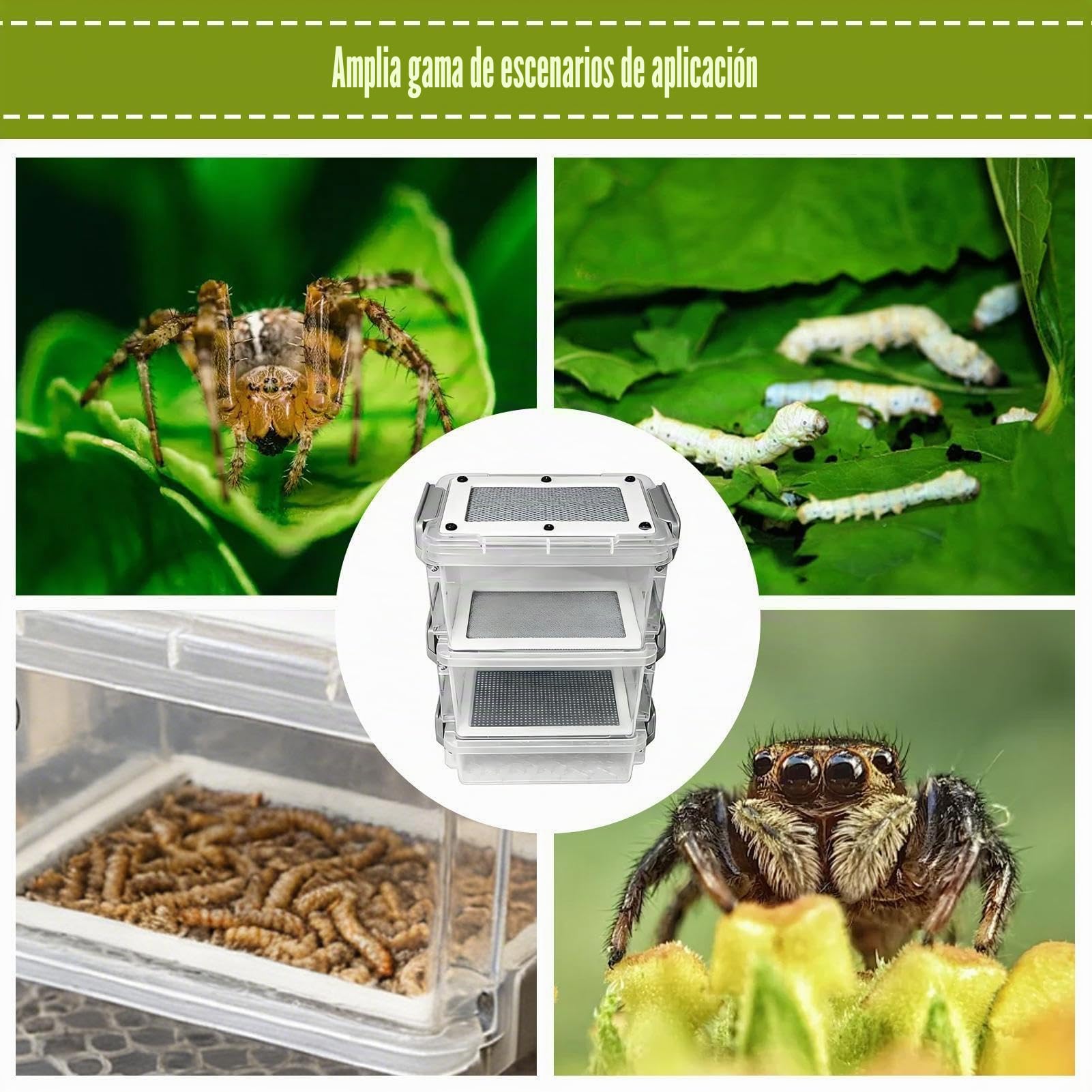 2 Piezas Cajas Cría De Seda, Kit De Cría De De Harina, Criador De Gusano Seda 3 Capas, para Mascotas Dragón Araña Rana Escorpión Gecko Pollo