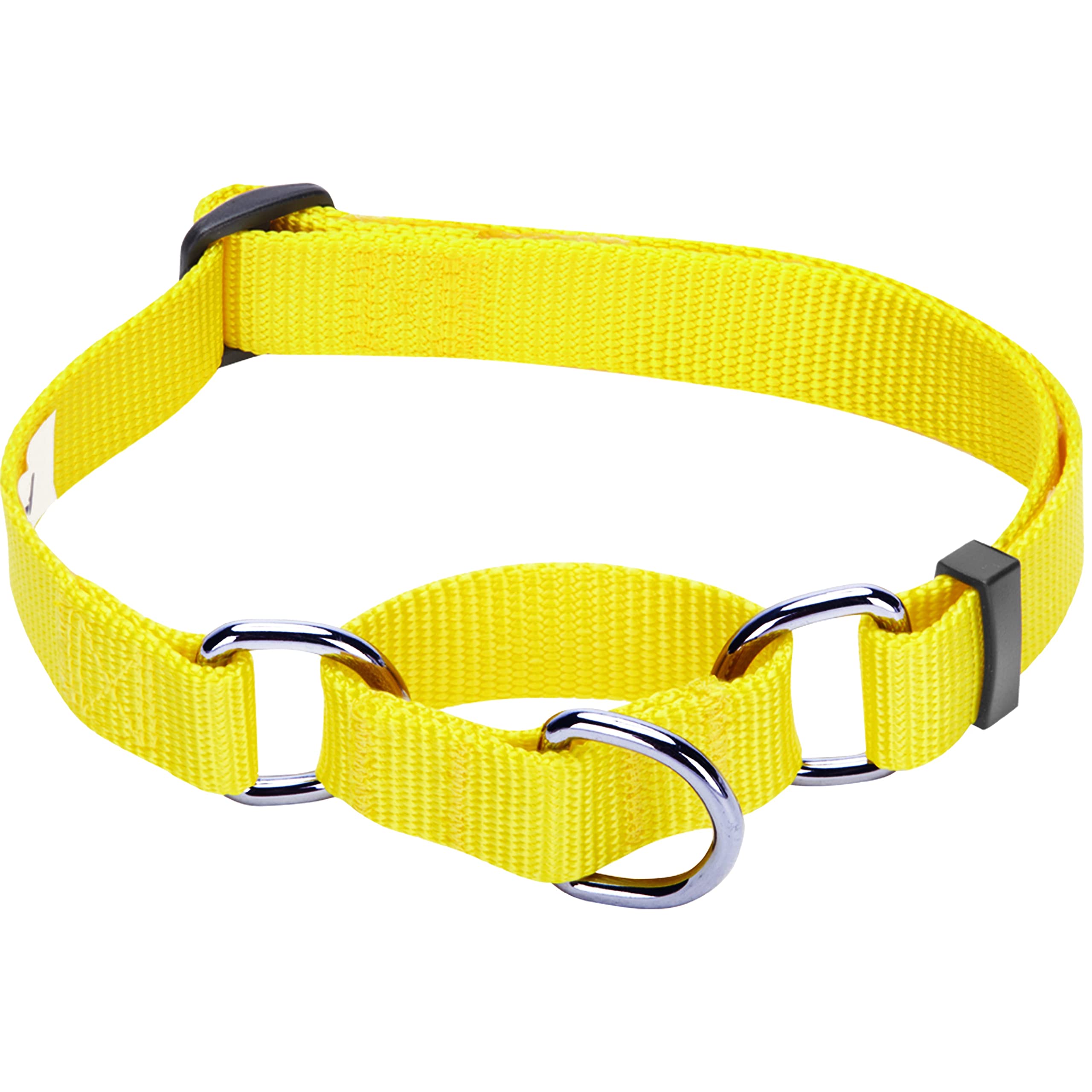 Collier martingale pour petit chien Blueberry Pet jaune sangle durable 1.5cm