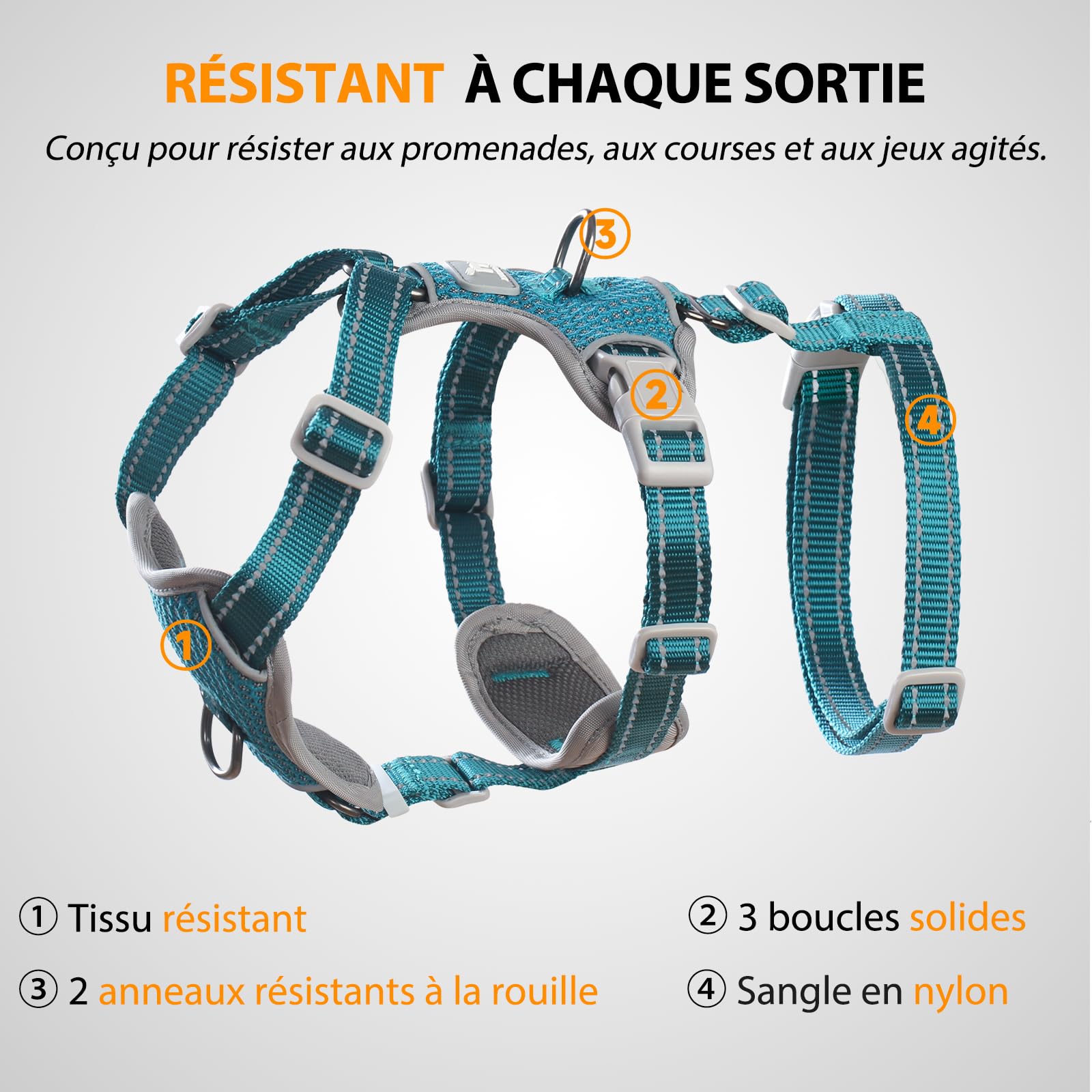 Huntboo Harnais Anti-Fugue pour Chien, Harnais Réfléchissant Anti-Traction pour Petits, Moyens et Grands Chiens, Durable, Réglable et Respirant pour l’Entraînement et la Promenade (Bleu,S)
