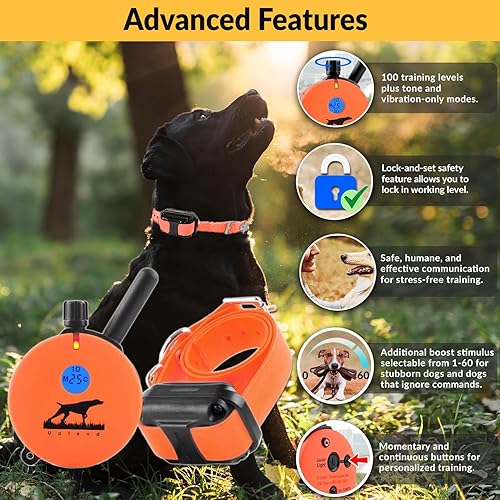 Miniatura 9 de Educator - Collar humano de entrenamiento para perros con control remoto cuenta con 100 niveles de estimulación segura sensación de golpeo luz