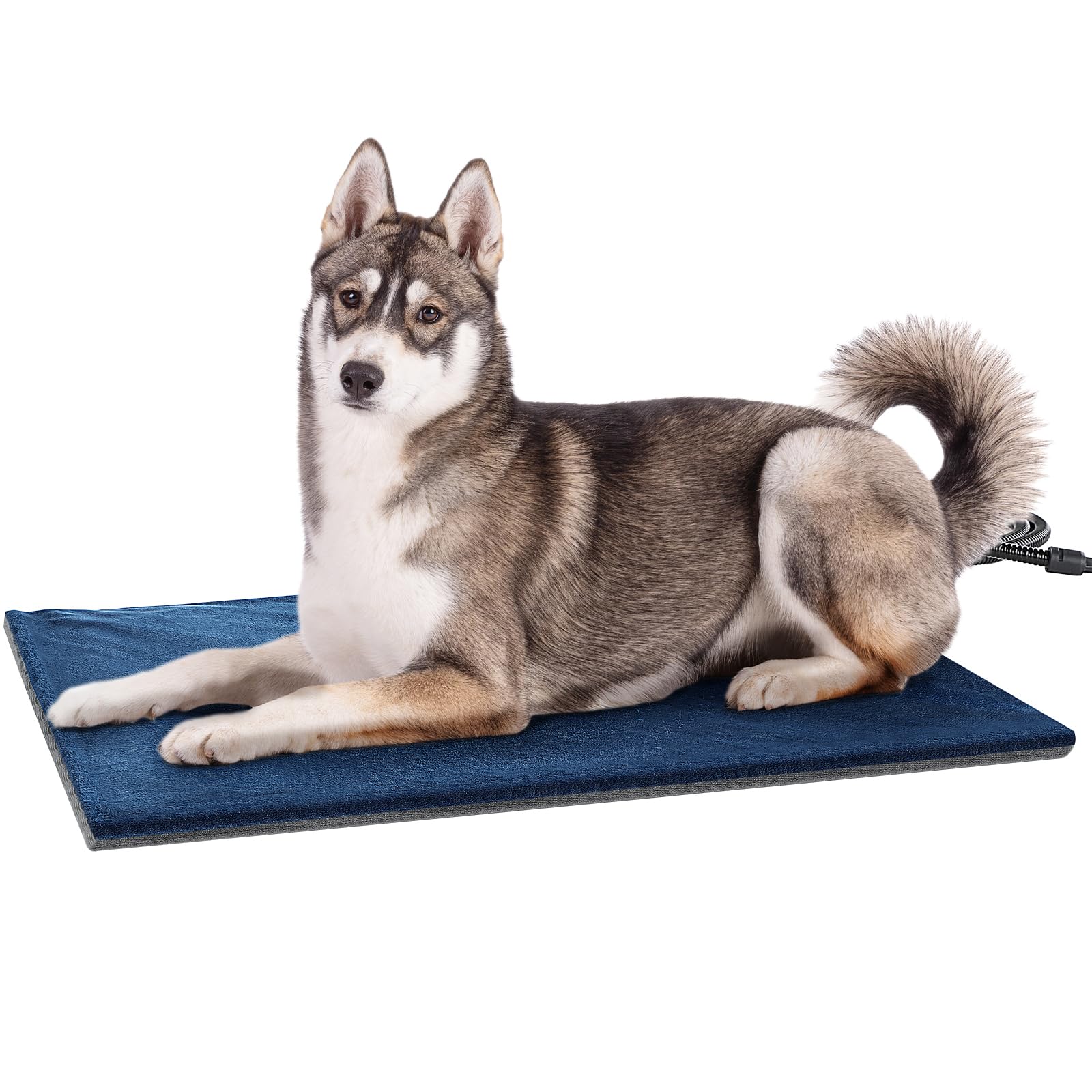 Pecute Tappetino Riscaldante per Cani e Gatti, Tappeti Riscaldanti per Cani con Indicatore Luminoso, 50×65 cm, Temperatura Costante, Antimorso, Impermeabile, Grande Cane Gatti