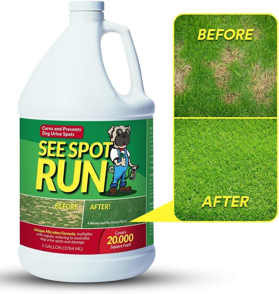 See Spot Run Lawn Protection Concentrate Refill – 128 fl oz Each – Ready-to-Mix Solution for Dog Owners – Lawn Saver – Supports Healthy Soil – Safe for Pets