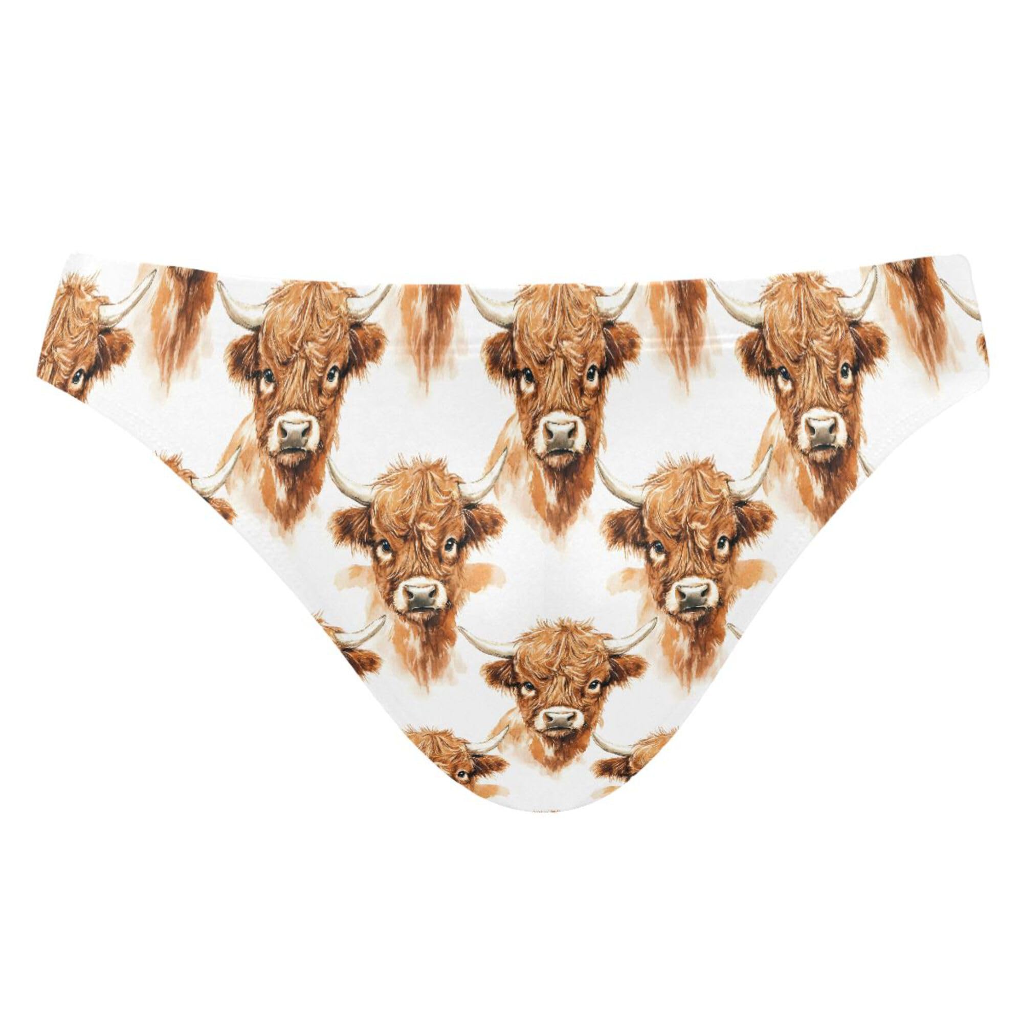 Men's Swim Briefs Highland Cow Animal Swimsuit Beach Swimwear Bikini M B0403707