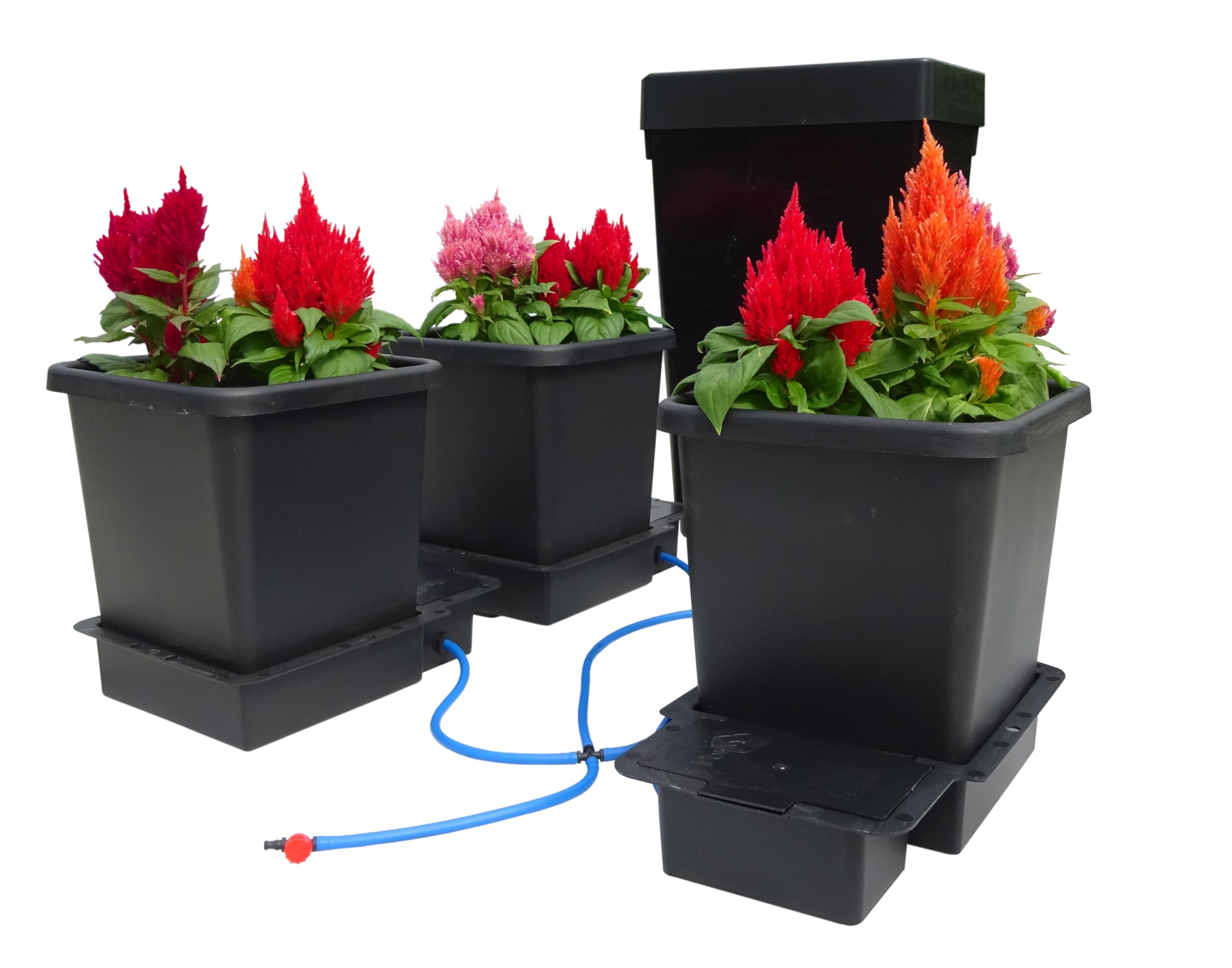 AutoPot 1Pot Bewässerungssystem 3Pot, 3 Töpfe à 15 Liter, Automatische Bewässerung ohne Strom, Schwarz