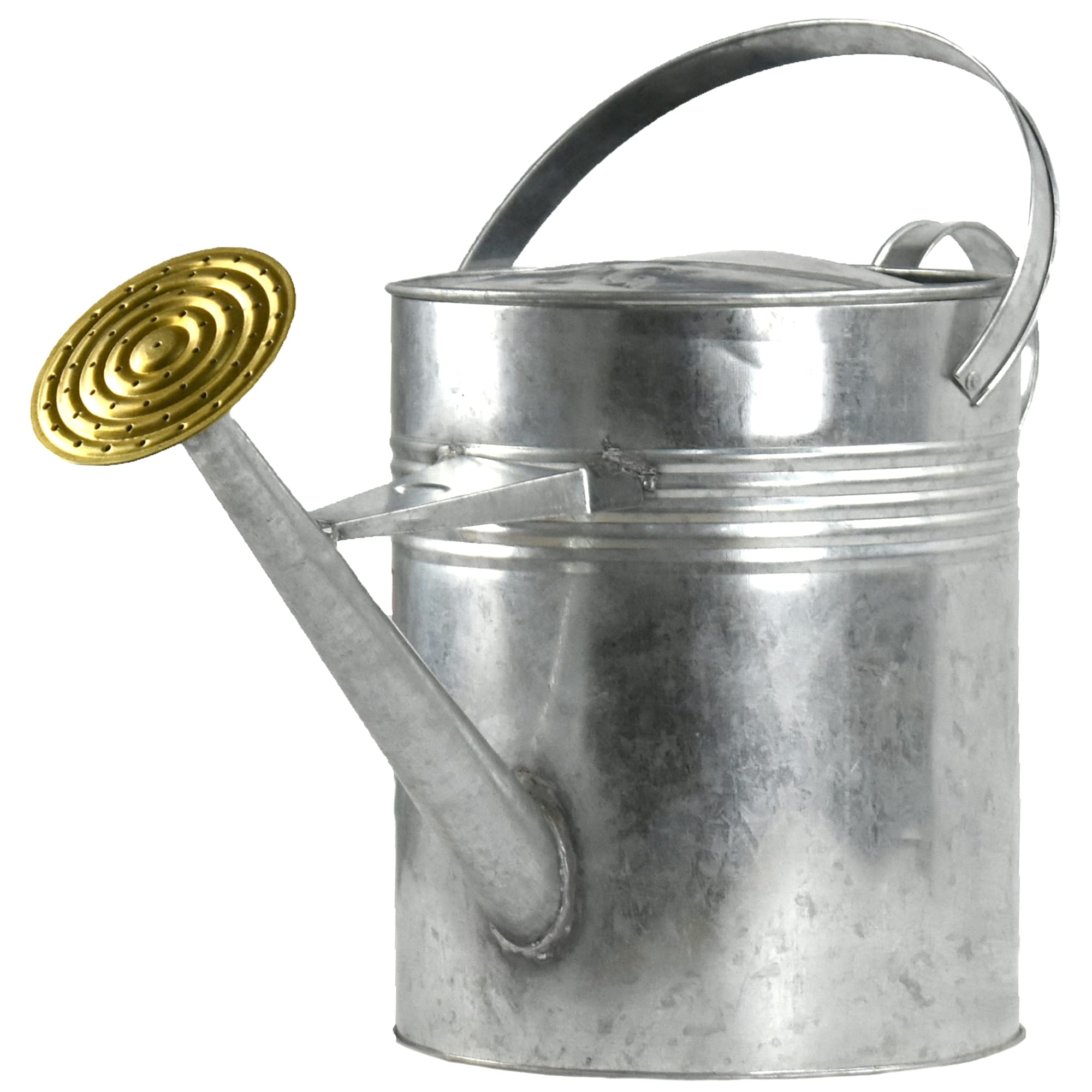 Garden Watering Can Metal 9L for Outdoor & Indoor Plants Flowers Growing Vegetable Galvanised with Modern Style