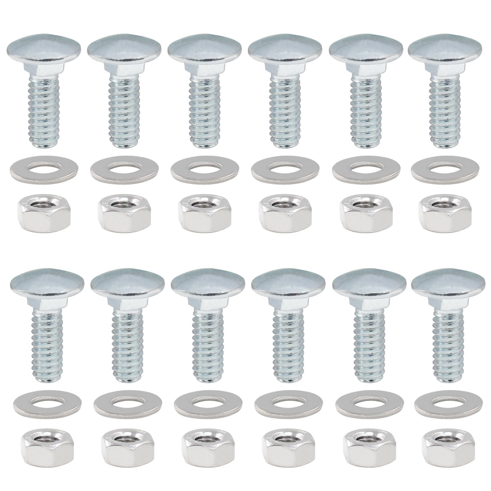 Carriage Bolts Kit - 1/4-20 x 3 Inch -6