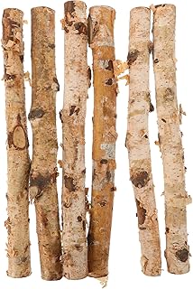 6pcs Birch Wood Sticks for Crafts and Flower Arrangements Natural Decorative Branches Sturdy and Flexible Tree Twigs for Crafting Projects