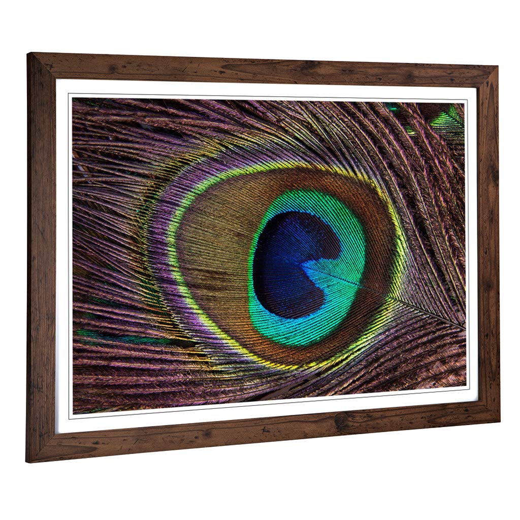 Big Box Art Framed Print of Peacock Feather Design | Wall Art Picture | Home Decor for Kitchen, Living, Dining Room, Lounge, Bedroom, Hallway, Office, Walnut, A2 / 24.5x18 Inch / 62x45cm