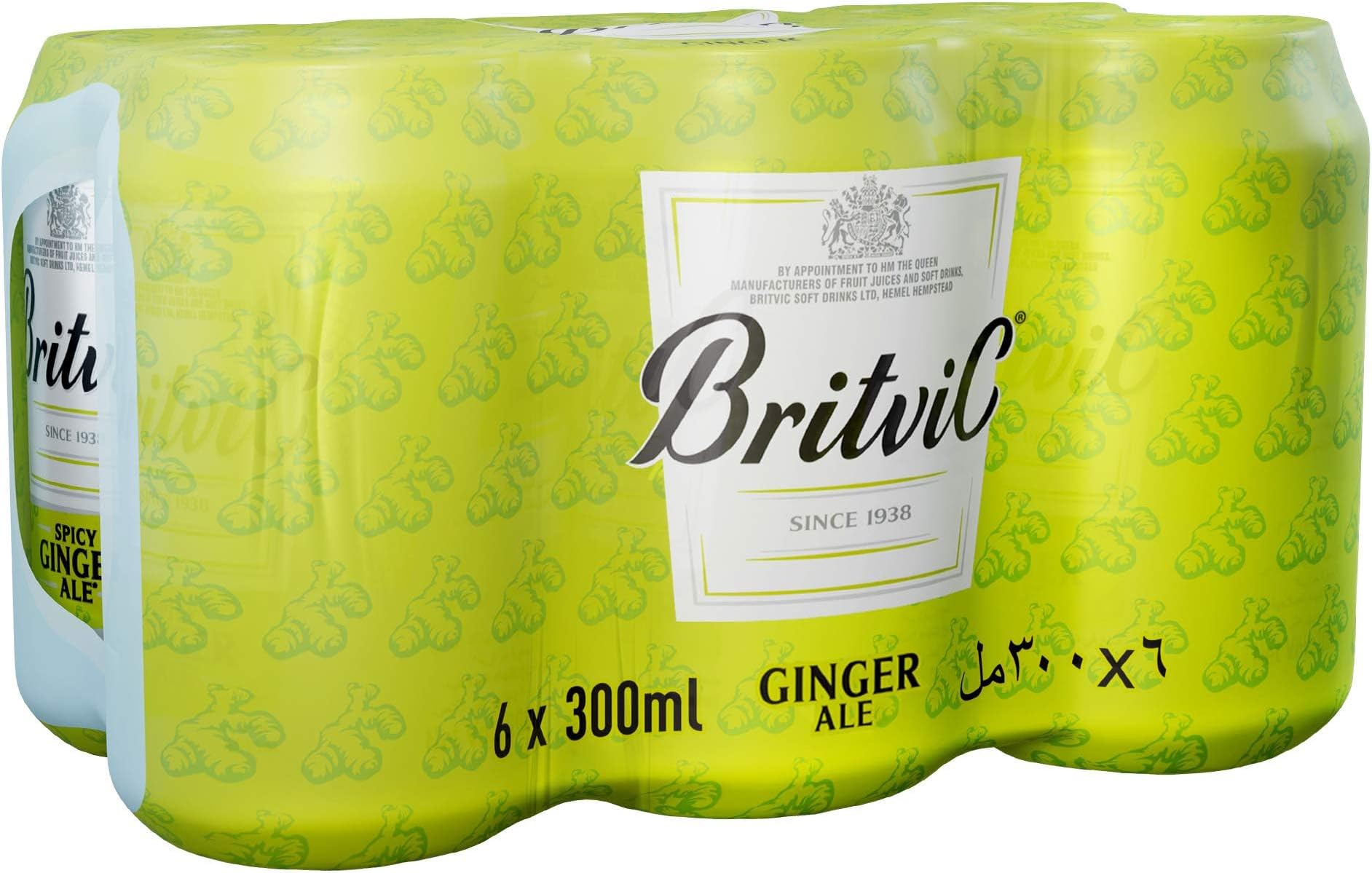 Britvic Ginger Ale 300 ml X 6