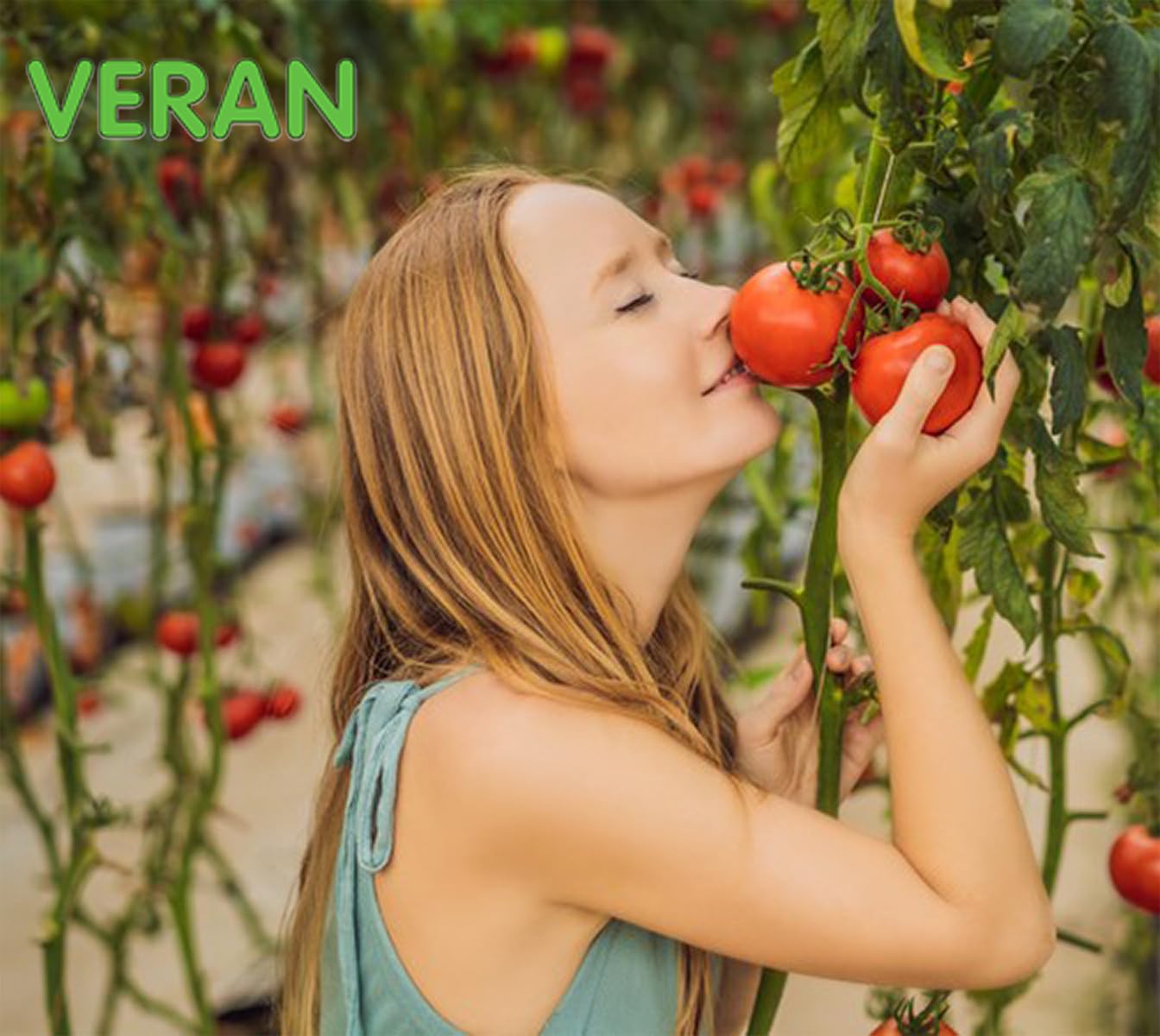 VERAN Fertilizante Cloruro Potásico NPK 0-0-61 1Kg | Abono Tomates Rico en Potasio Hidrosoluble | Fertilizante Tomates También para Hortalizas, Frutas y Cultivos Exigentes en Potasio