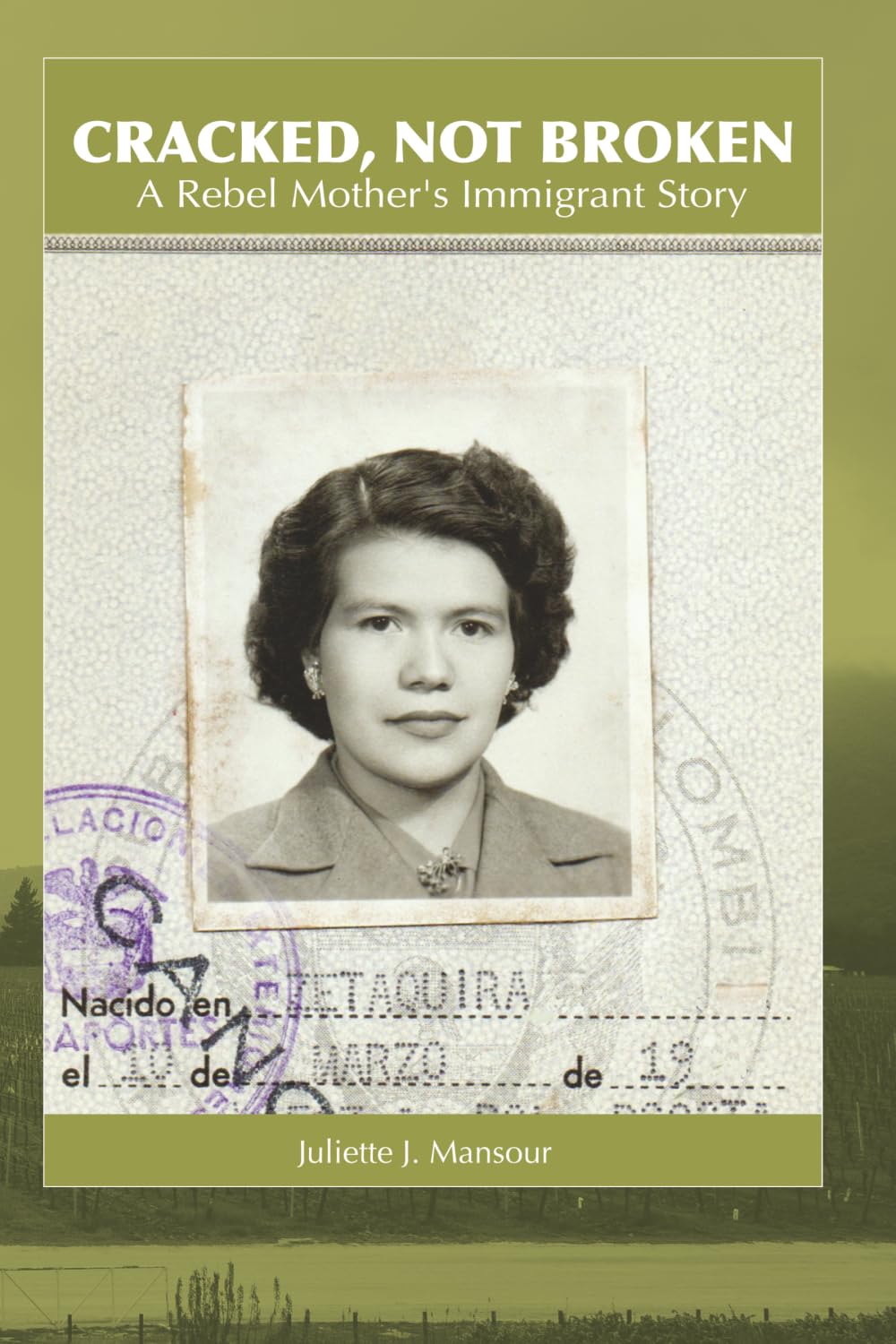 Cracked, Not Broken: A Rebel Mother's Immigrant Story
