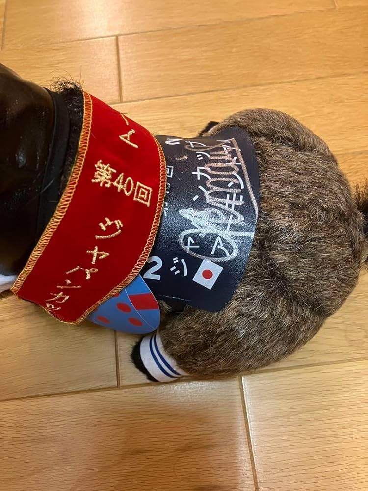 アーモンドアイ】2020 第40回ジャパンカップ ルメール直筆サイン