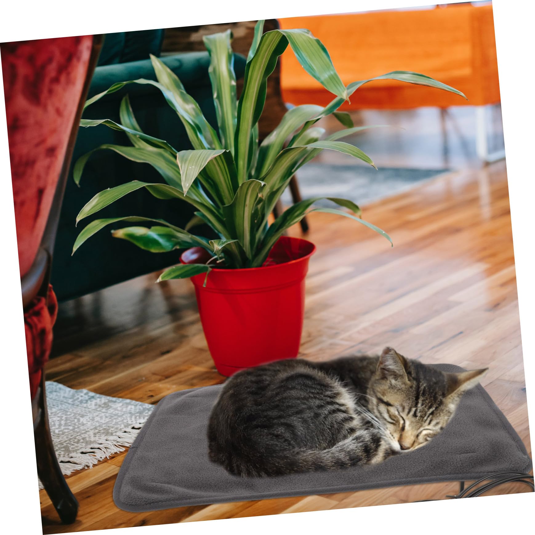 ibasenice USB Heizkissen für Haustiere Verstellbare Warme Schlafmatte aus Bruchfestem Material USB Heizdecke mit Temperaturkontrolle für Hunde und Katzen Indoor Camping