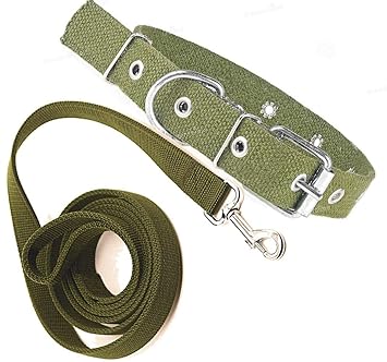 SENAPATI Neck Collar Belt (32 MM) and Leash Set (Green Color, Waterproof, Medium, Leash Size 1.5M-2M)