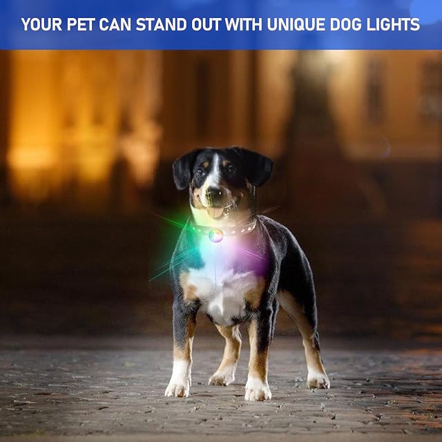 Foto 5 de 7 de BORDEAG Luces De Seguridad Para Mascotas, 2 Colgantes Luz Perro, Colgante Luminoso Para Perro Con 7 Colores