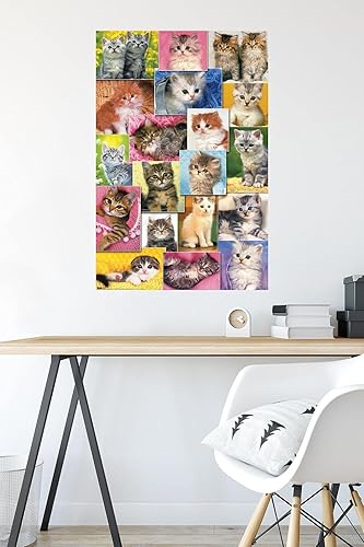Miniatura 4 de Trends International Keith Kimberlin - Póster de pared de collage de gatitos, 22.375 x 34 pulgadas, versión premium sin marco