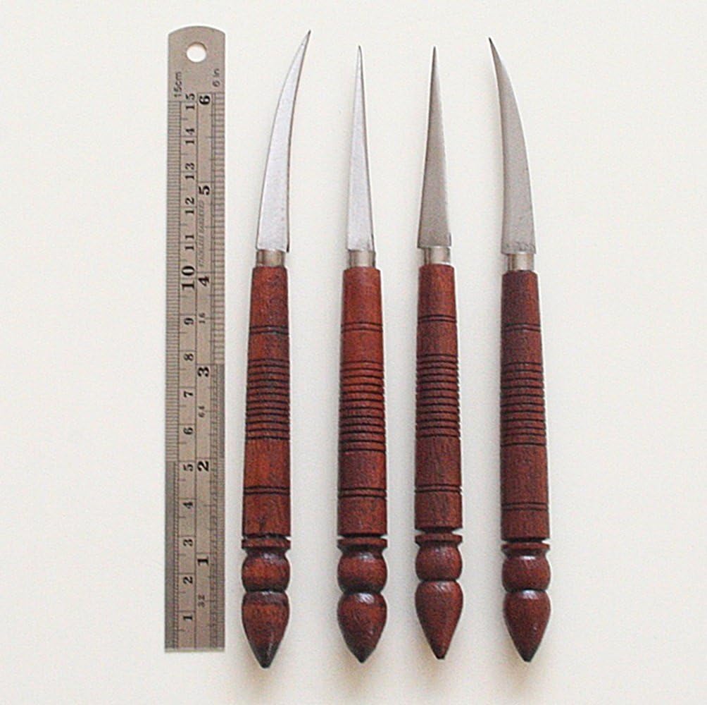 NATURE'S MORPHOLOGY 片岡繁夫 西村好美 技工 Amazon.co.jp: ネイチャ