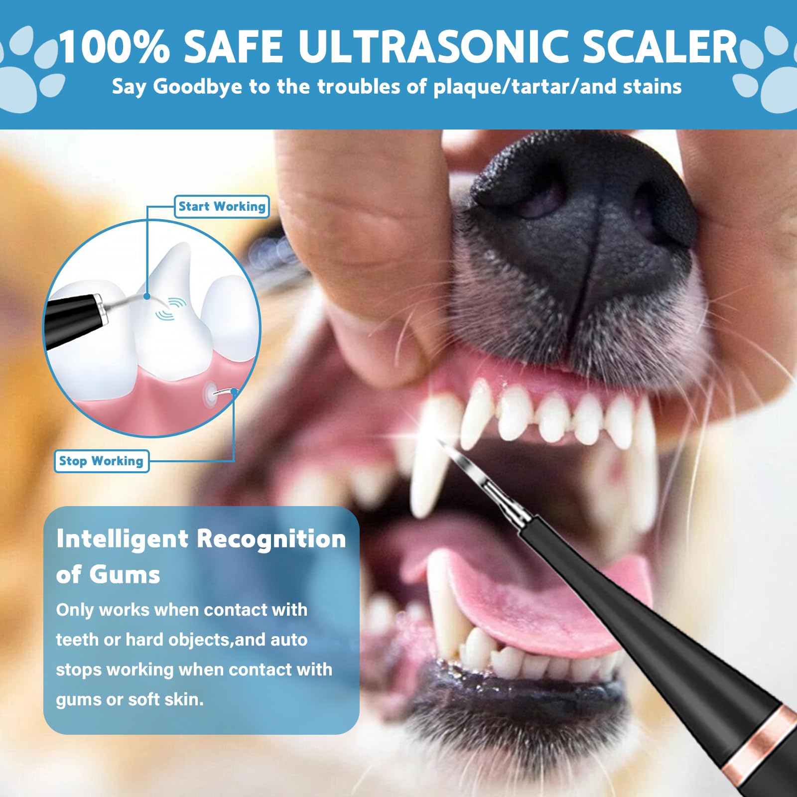 Dog Plaque Remover for Teeth, 5 Cleaning Modes Dog Teeth Cleaning Products, 9-Pack Pet Tooth Cleaning Kit Safe for Dogs and Cat, Pet Toothbrush for Dental Care - Image 2