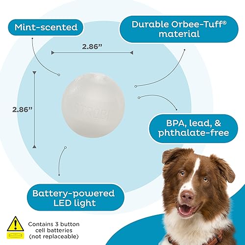 Miniatura 4 de Outward Hound Orbee-Tuff - Bola estroboscópica que brilla en la oscuridad con luz LED para perro