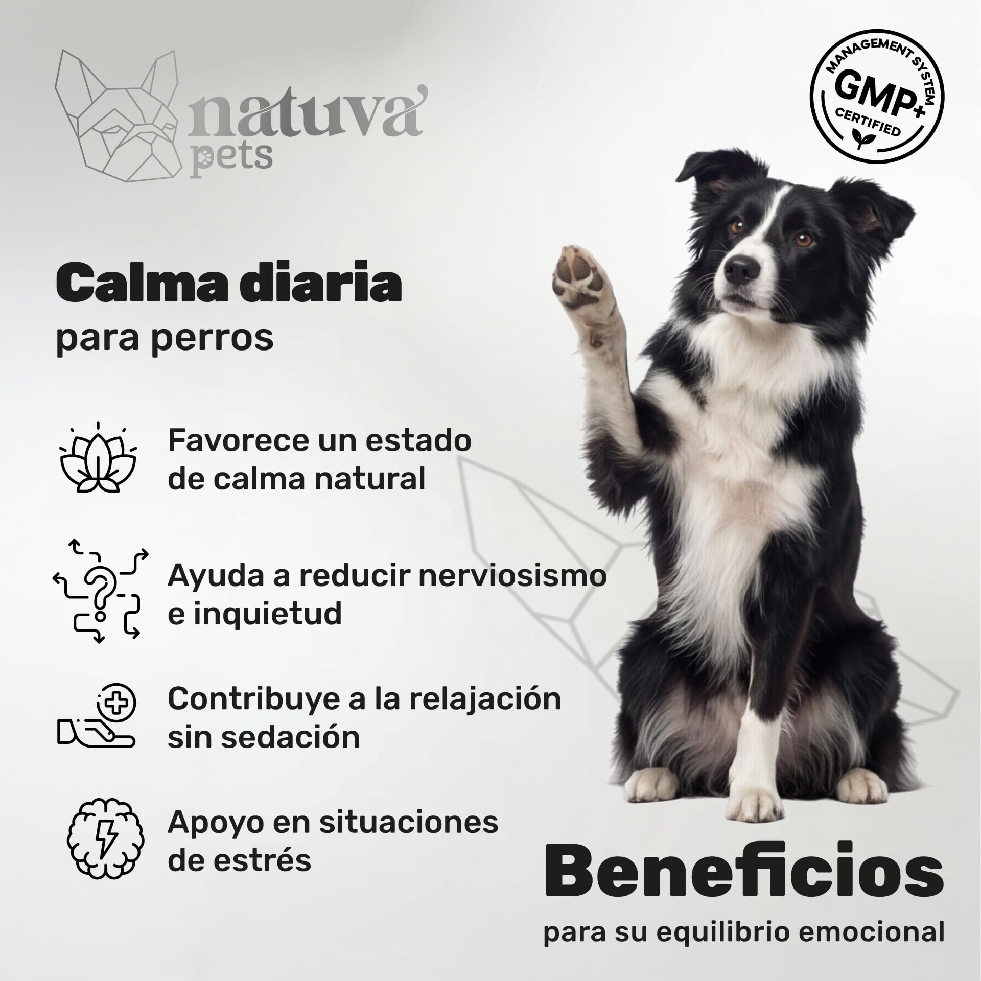 natuva pets Calmante para Perros - 120 Masticables con L-Triptófano, Ashwagandha, Magnesio, Melisa y Valeriana - Golosinas Relajantes para Perros - Ansiedad, Separación, Estrés, Petardos — view 2