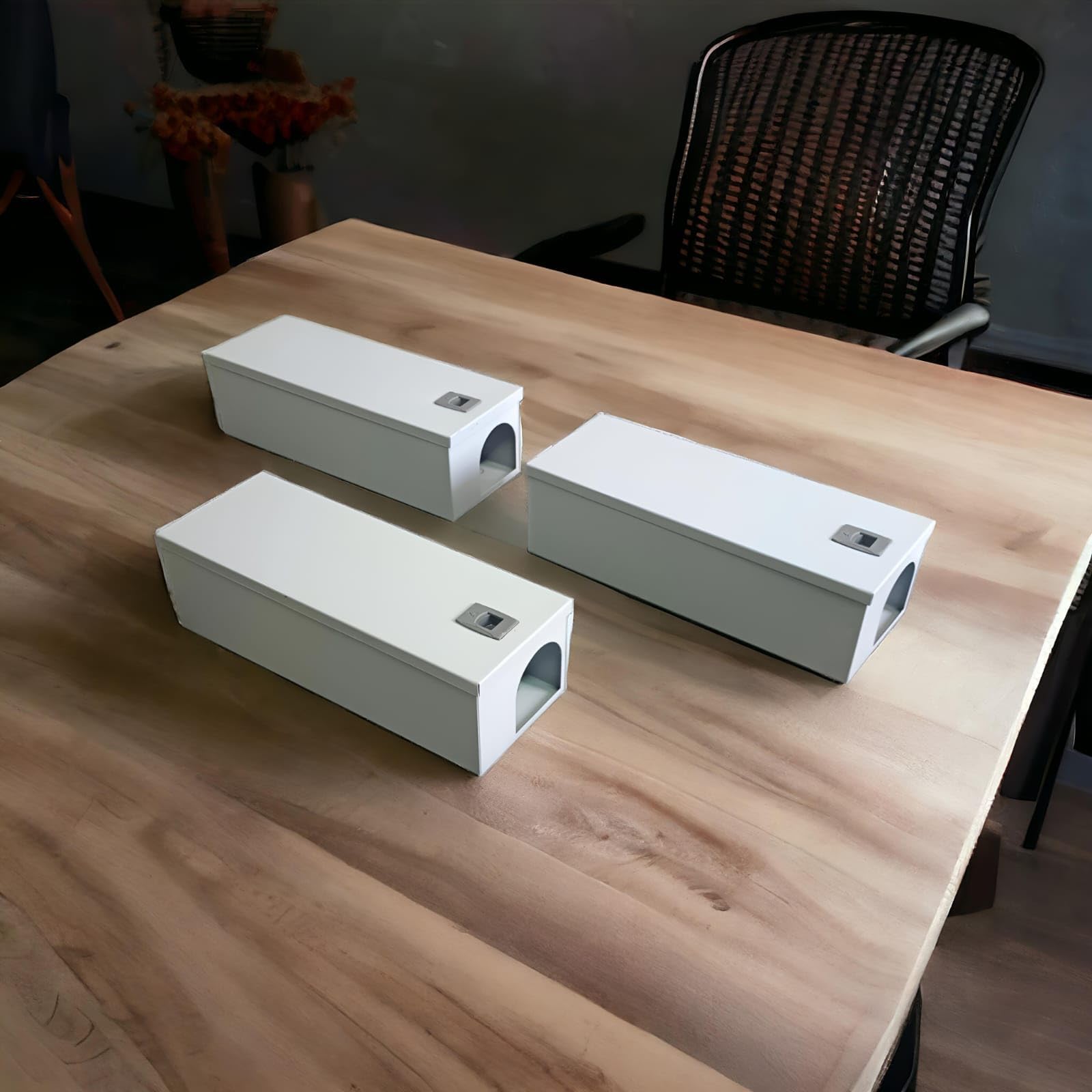 ICONICCART Rat Bait Station, Roda Box, Mouse Box (3 PCS) (B0CYGBX75L) Amazon Price History, Amazon Price Tracker