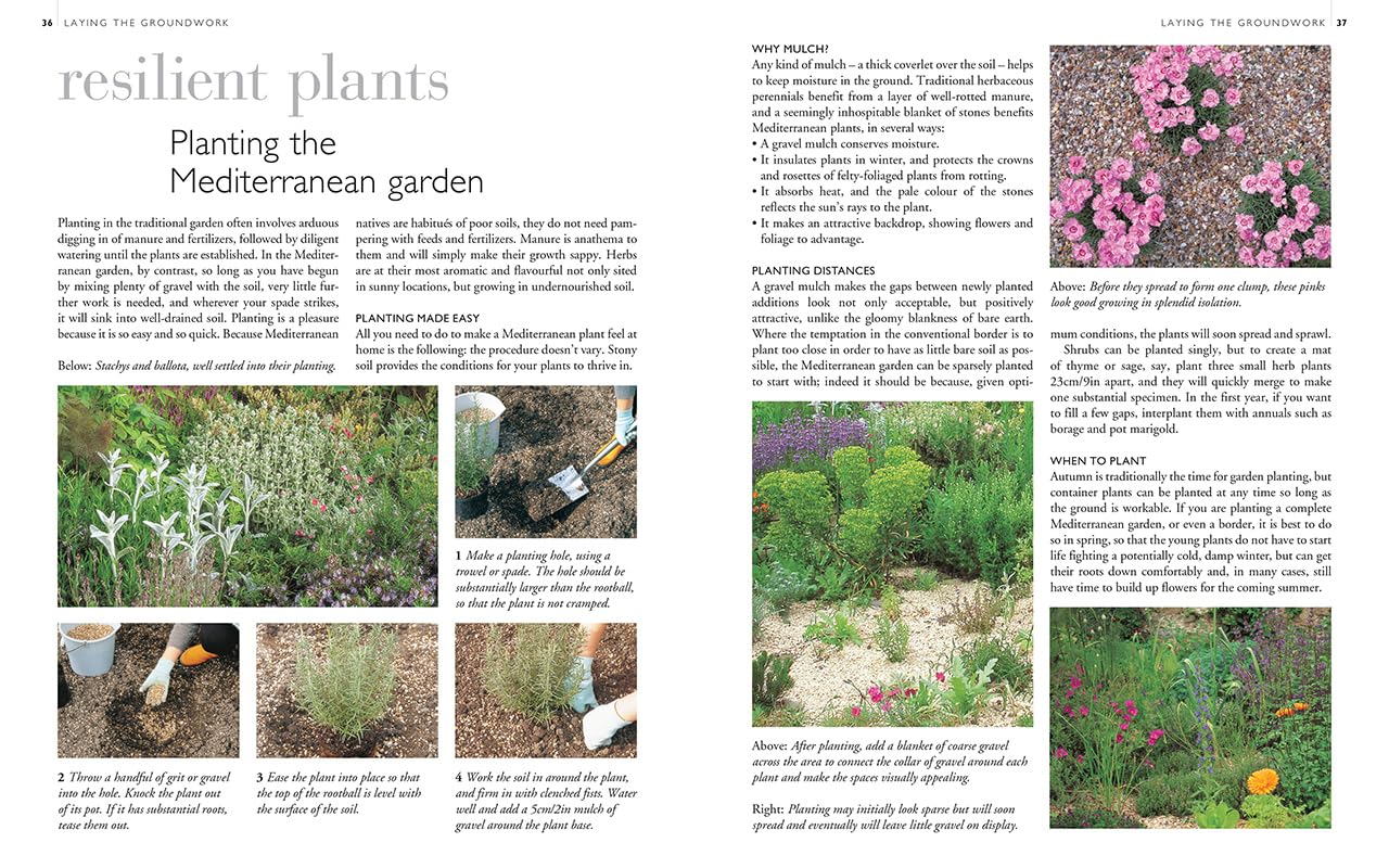 Create a Mediterranean Garden: Planting a Low-water, Low-maintenance Paradise – Anywhere
