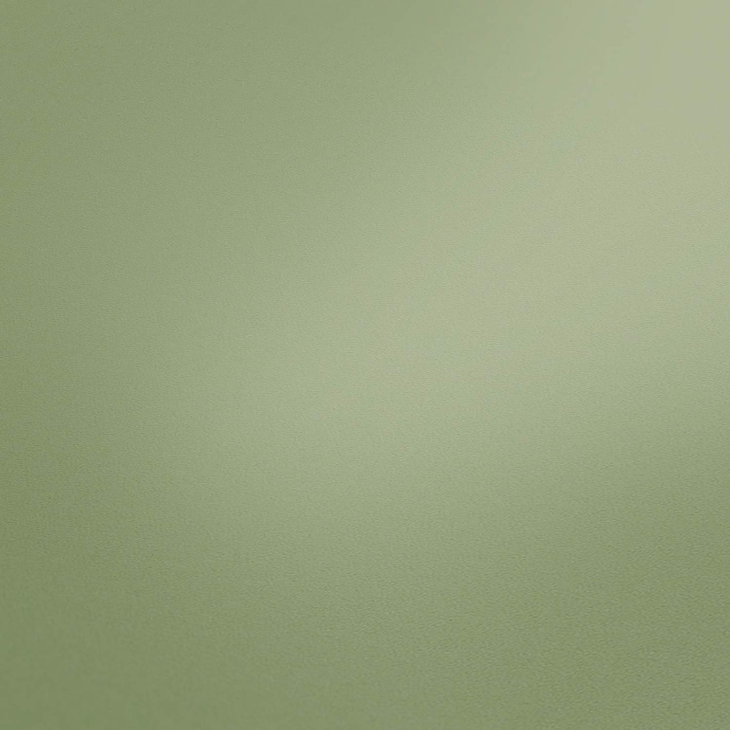 Papel Pintado Liso New Life A.S. Création Papel pintado tejido no tejido 10.05 m x 0.53 m Verde Fabricado en Alemania 376804 37680-4