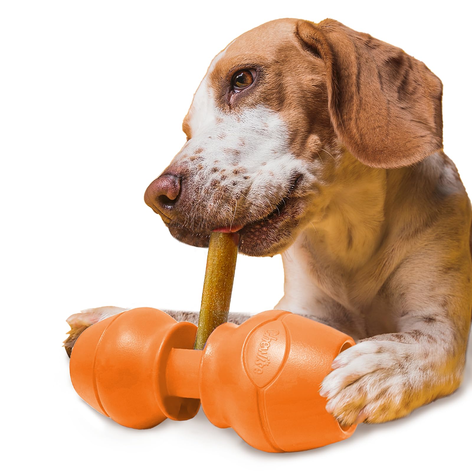 Bully Stick Holder for Dogs, Dog Treat Holder, Chewise Ultimate Secure Heavy Duty, BPA-Free Safety Device Kit to Prevent Choking, Fits Various Treat and Dog Sizes