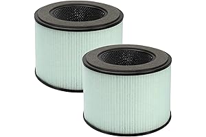 GuanQiao BS-08 HEPA Filter