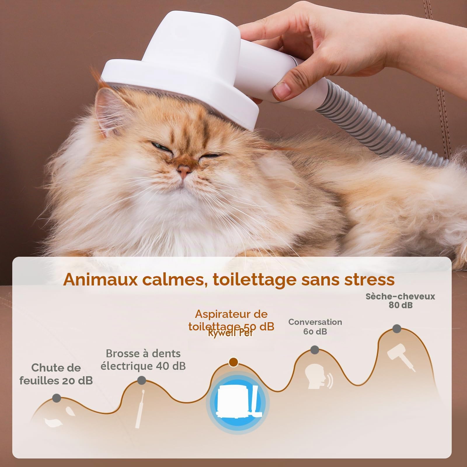 Rywell Aspirateur Poil de Chien de Grande Capacité de 4L, Kit de Toilettage pour Animaux de Compagnie avec 4 Modes Réglables (3/6/8/13 kPa) Filtration HEPA pour Perdre les Poils d'animaux