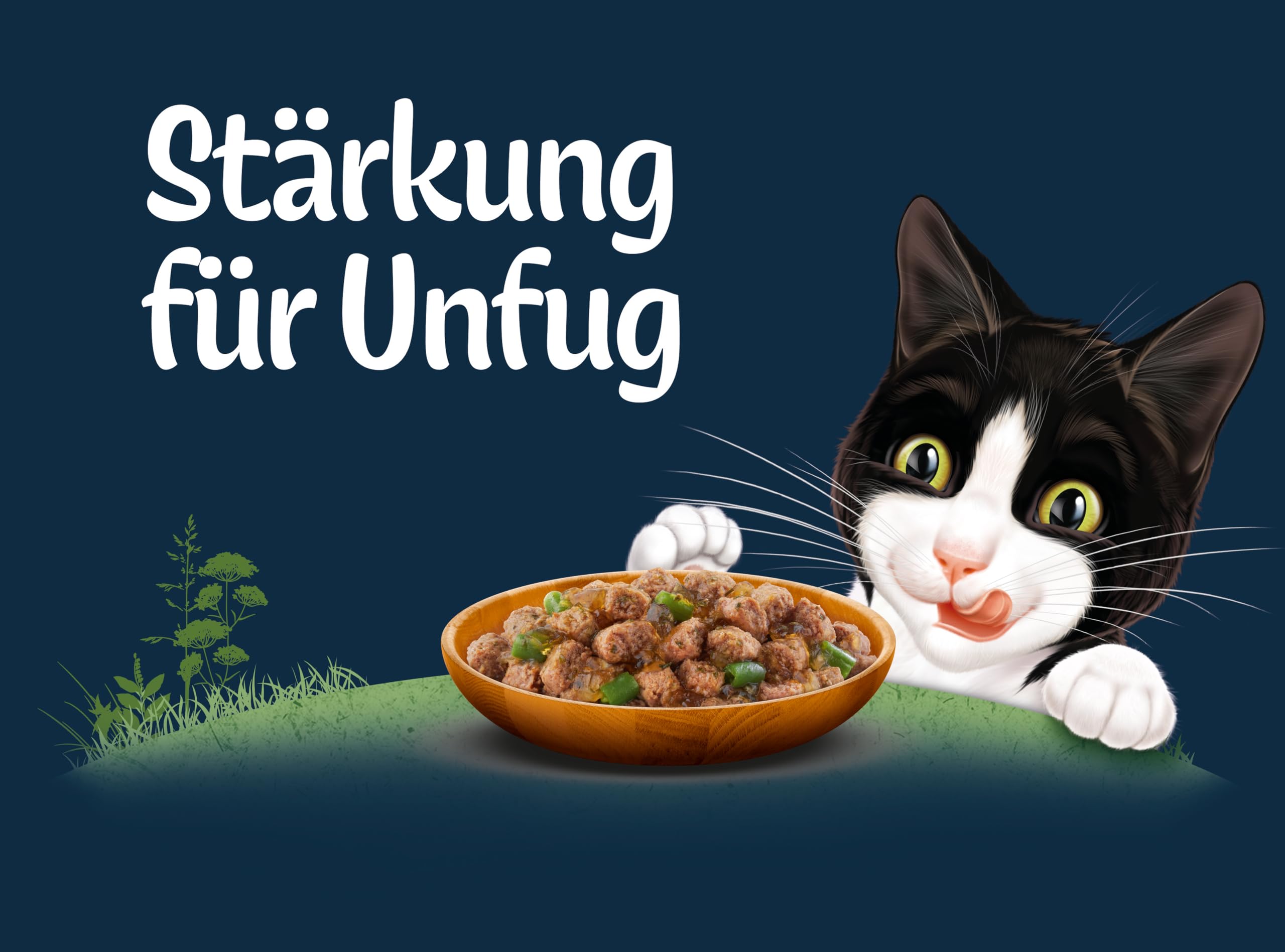 Felix Naturally Delicious, Katzenfutter nass Geschmacksvielfalt vom Land mit Gemüse in Gelee, 80er Pack (80x 80g)