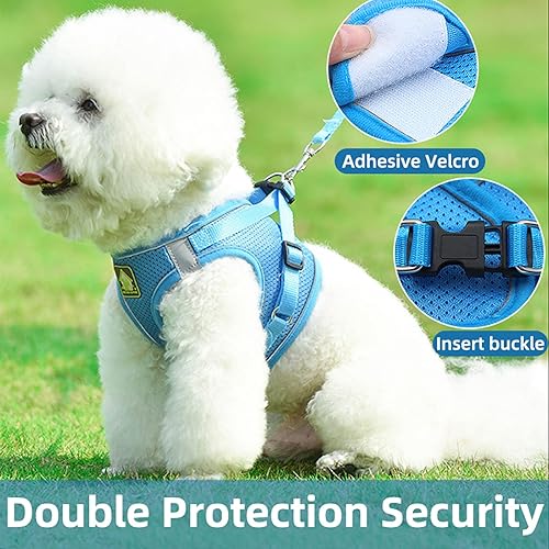 Miniatura 3 de Juego de arnés y correa para cachorros y perros pequeños, número de teléfono con nombre personalizado, arnés reflectante ajustable sin tirones,