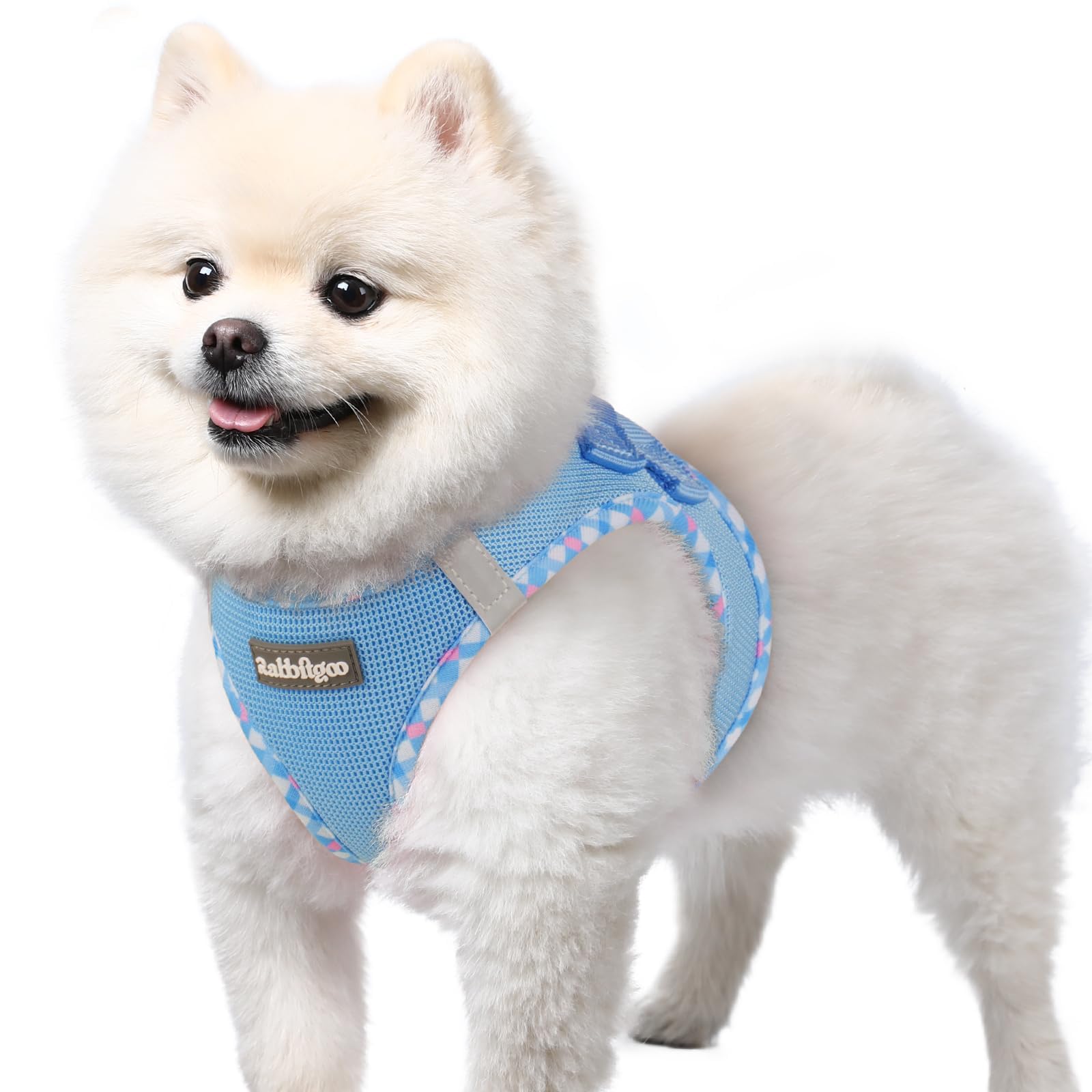 rabbitgoo Dog Harness Small Dog, Step-in Soft Mesh Puppy Harness with Reflective Strips, Lightweight Breathable Pet Vest for Walking Training, Blue & Plaid Trim, S