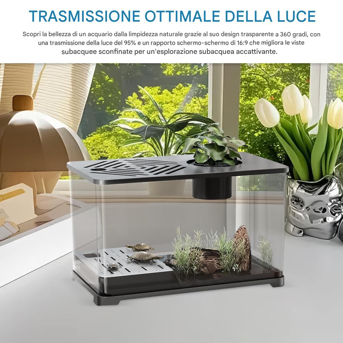Acquario Vasca Grande Per Pesci Da Scrivania