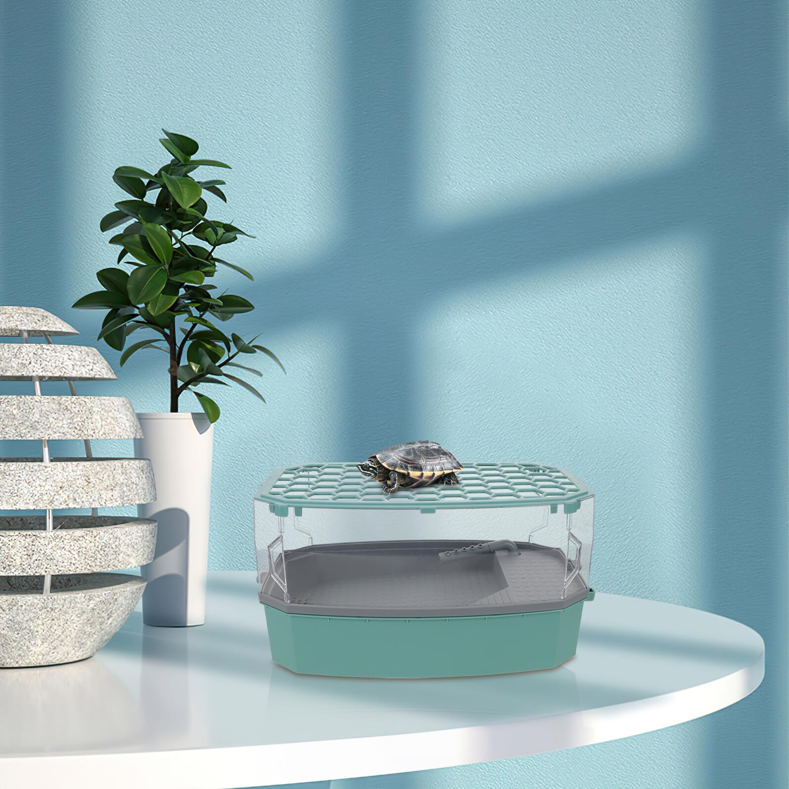 TOYANDONA Terrarium pour Tortues Mini avec Couvercle Anti-Évasion Aquarium Écologique Bleu Petit Format avec Plateforme de Bain de Soleil Habitat pour Tortues D’Eau Douce pour