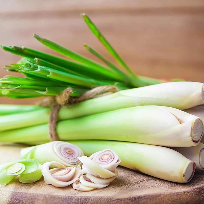 The 1000+ Lemon Grass Seeds for Planting are non-GMO heirloom seeds that come with instructions for planting and growing a vibrant herb garden. Lemon grass is a highly aromatic herb commonly used in cooking and herbal remedies, known for its citrusy flavor and medicinal properties. These seeds can be grown both indoors and outdoors, making them a versatile option for any gardener.