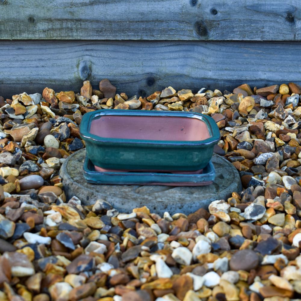 Bedwen Green Square Bonsai Pot & Saucer. 15Cm X 13Cm. Hand Glazed. 100% Frost Proof Planter.