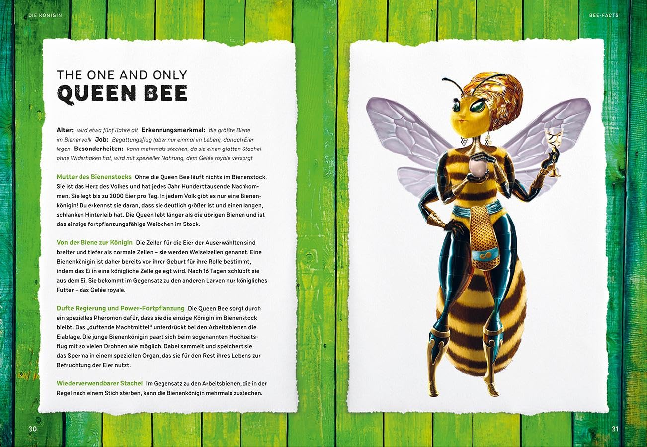 Quentins Welt der Bienen. #meetthebeefamily - Beesteez: Naturschutz mit Spaß! So krass lebt ein Bienenvolk: Erstaunliches über Wildbienen & Honigbienen plus Tipps, wie wir Bienen helfen können
