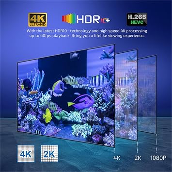 Android 12.1 TV Box, Android Network Set Top Box Allwinner H313 TV Box, Support 2.4G/5G Dual Wifi/1000M LAN/USD3.0/H.265/HD/3D 4K/8K Smart TV Box 1G+8G