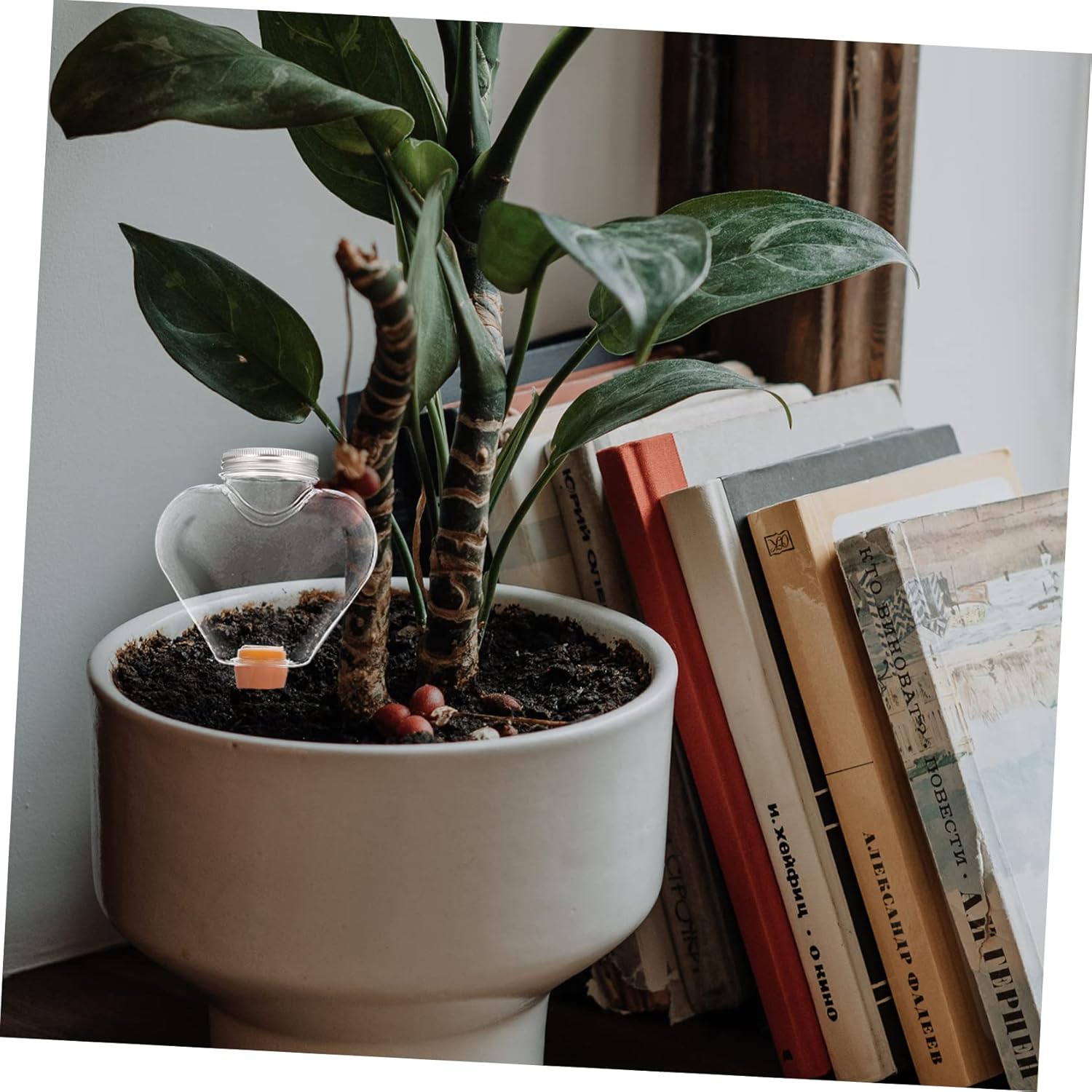 GANAZONO 4pcs Automatic Watering Device for Plants Watering Globes Pointed Tip Design for Easy Insertion for Garden Patio and Lawn Care