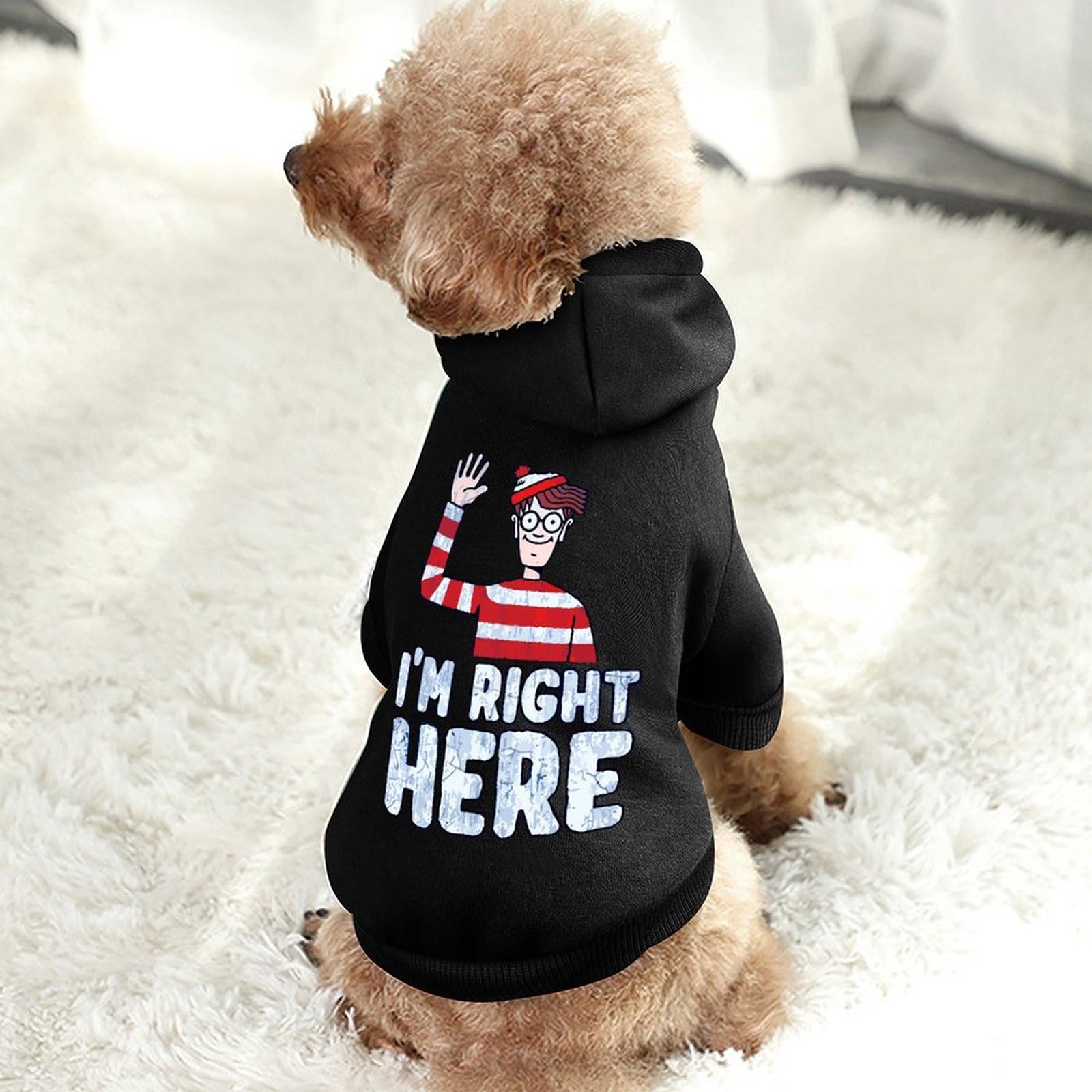 Amazon | ペット服 犬服 犬の服 Where