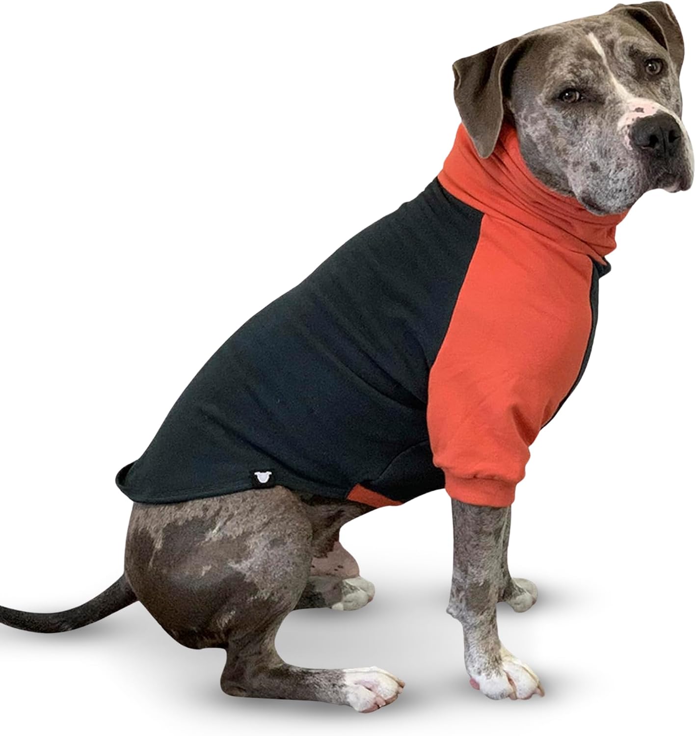 Tooth & Honey Dog Sweater for Large Dogs, Warm Cotton Blend Pullover Dog Clothes for Large Breeds, Soft Dog Sweatshirt Apparel with Turtleneck - Dark Green & Orange