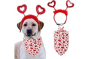 Valentines Heart Headband Dog Costume