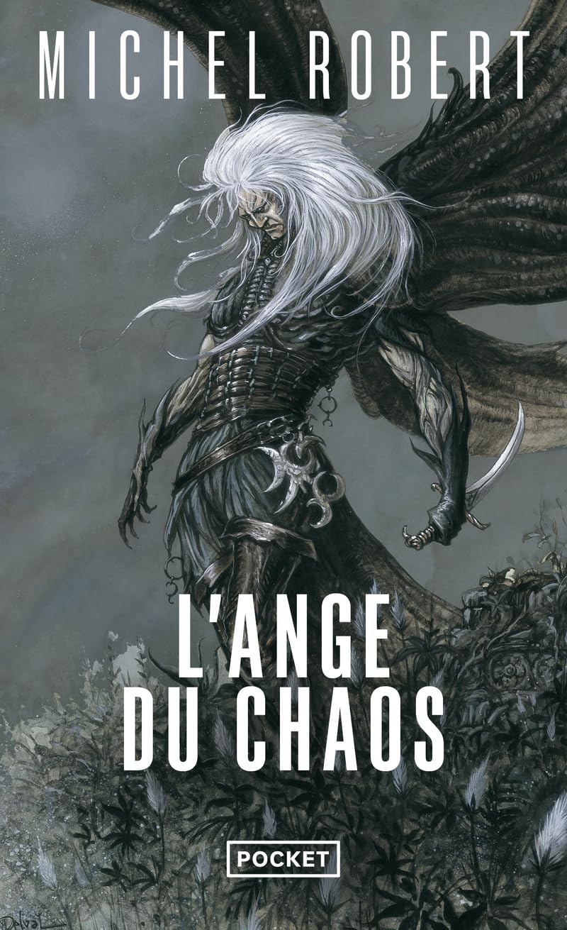 L'agent des ombres - tome 1 L'ange du chaos (1) (Fantasy)