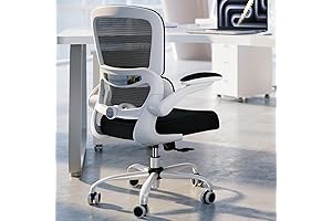 Office Chair - Ergonomic With Adjustable Lumbar Support